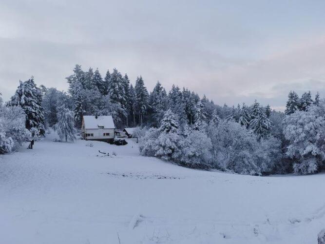 Holiday Home In Filz Near River Buitenkant foto